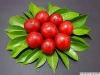 Ubaia (Eugenia Pattrissi) fruit plant