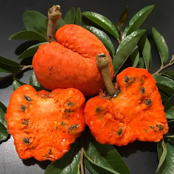 Anona spinescens(Red Cherimoya or Orange Soursop) A Rare and Exotic Fruit